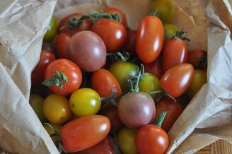 Tomate cerise mélange 250gr