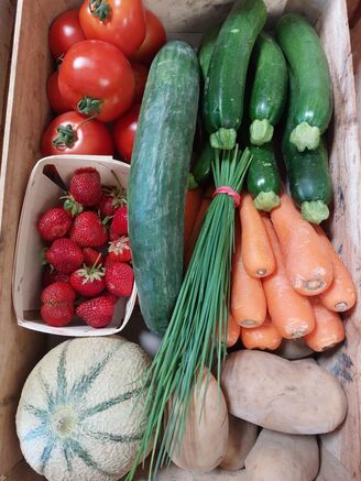 Panier légumes familial