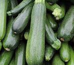 Courgettes vertes par 3 kg