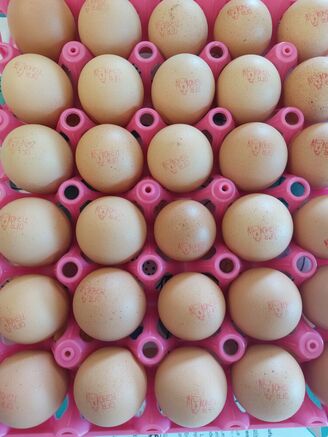 Id 17496471379545990337173749209952 4e2d2443