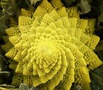 Chou Romanesco