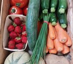 Panier légumes familial