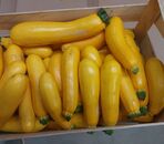 Courgettes jaune par 3 kg