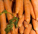 Carottes Nouvelles