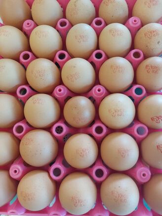 Id 17496473119323046296601085278514 F2fbabb7