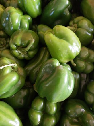Poivron vert