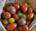 Tomate cerise mélange 250gr