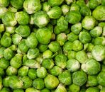 Chou de Bruxelles 500gr